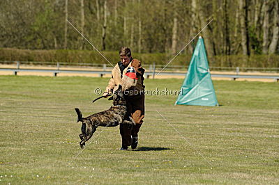 Boyd`s Bullriding Glenmore